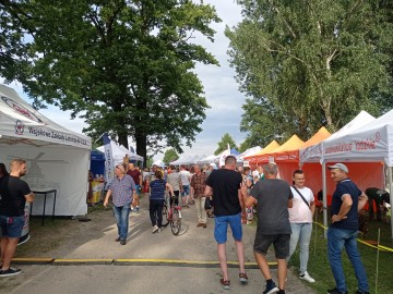 Piknik województwa łódzkiego w Dłutowie, 